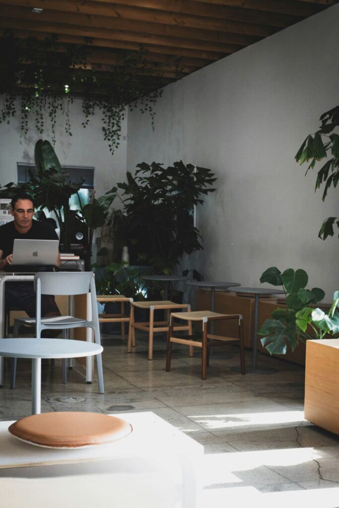 Man working on laptop in a leafy modern cafe with natural light and minimalist decor