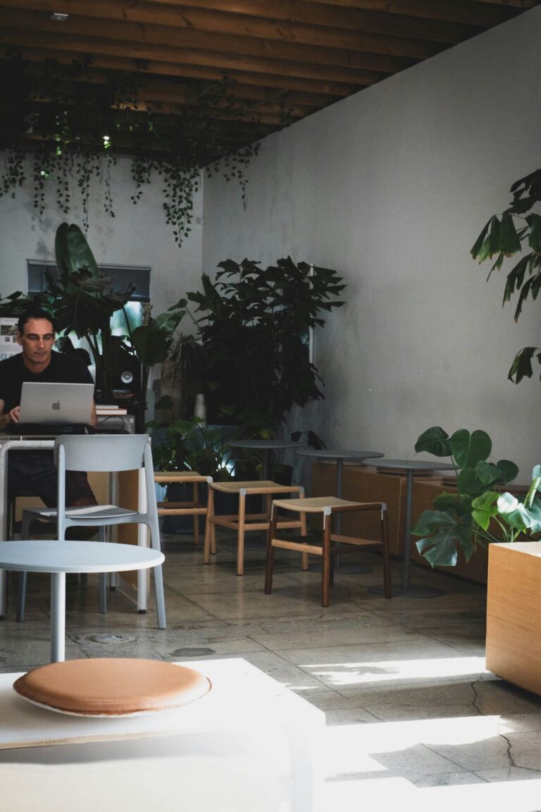 Man working on laptop in a leafy modern cafe with natural light and minimalist decor