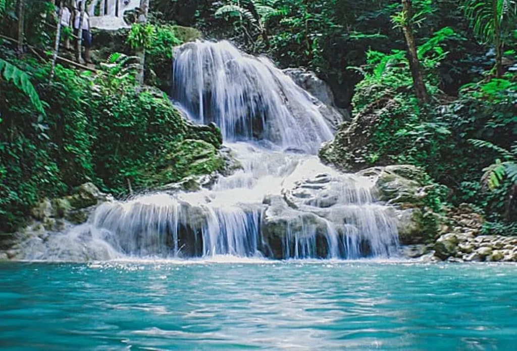 Flowing waterfall surrounded by nature representing steady growth and the compound effect in café business success